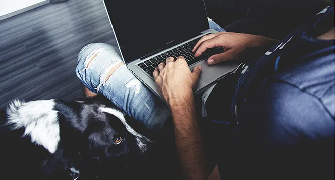 Chcete, aby vás pejsek poslouchal a nedaří se? Pomohou elektronické výcvikové obojky
