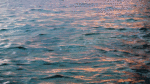 1463409492-croatia-5